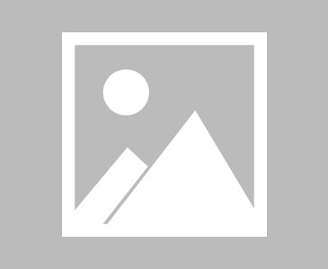 MK体育官网- 柏林赫塔遭遇四连败，球迷抗议要求管理层辞职  